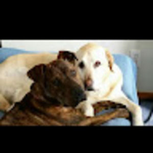 Meet your Posher, Scott